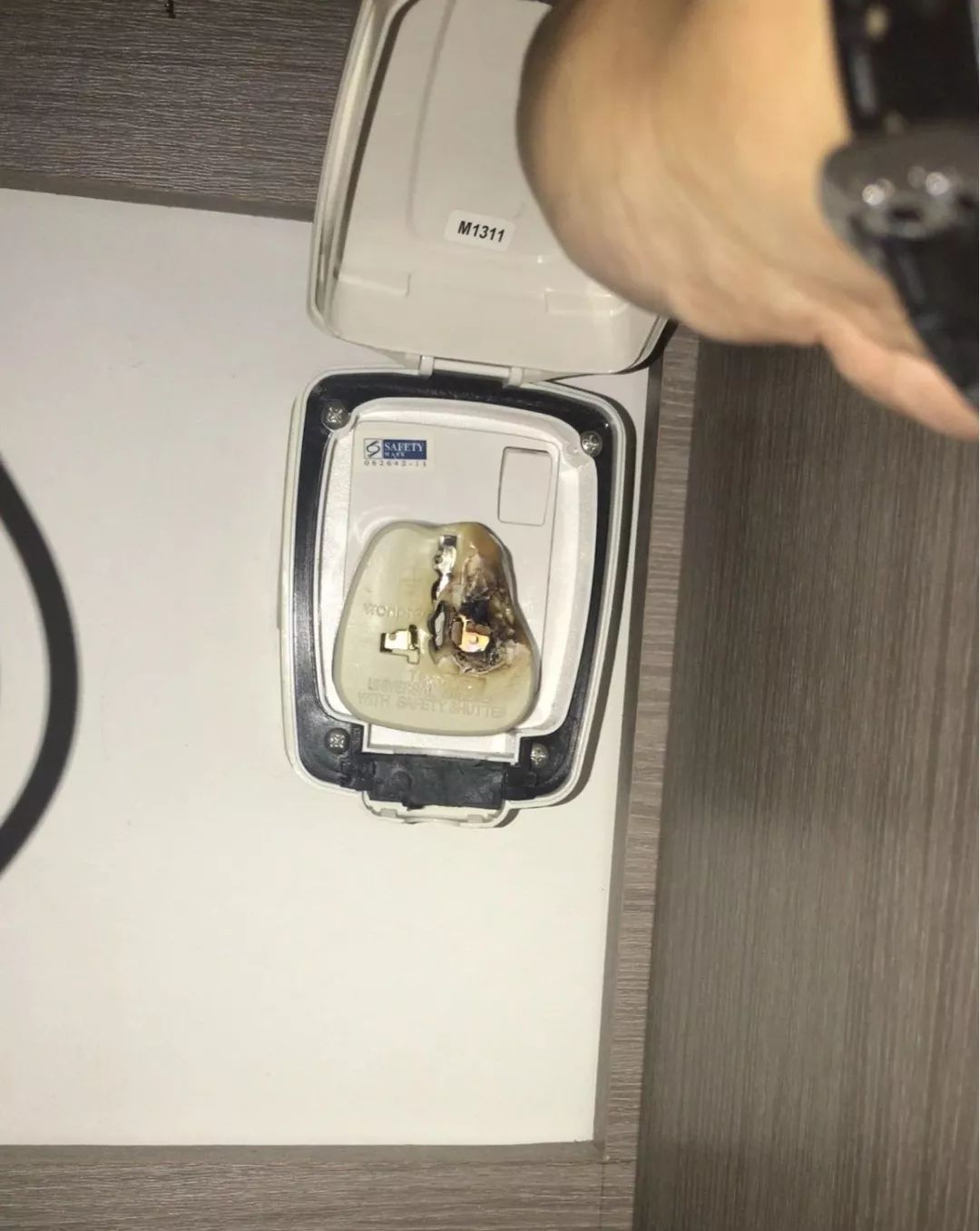 新开缸每天都有鱼死,新开缸鱼一直死