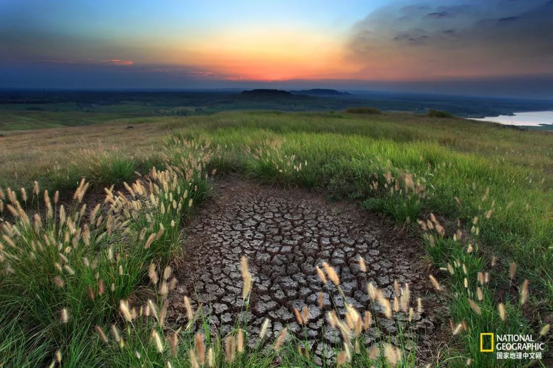 南京古寺看萤火,南京萤火虫在灵谷寺还是明孝陵