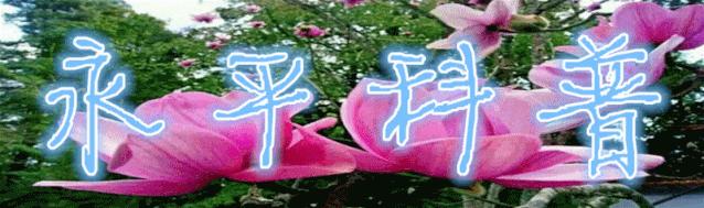 【永平科普】［卫生健康篇］日常生活中如何预防乳腺癌？如何早期发现乳腺癌？