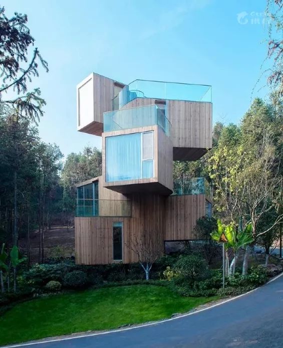 全球最受欢迎树屋酒店｜夜晚坠入大自然的梦乡，清晨在森林的枝桠间醒来