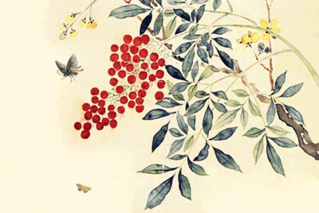 戒掉情绪才是一个人成熟的标志,真正成熟的人大多戒掉了坏情绪