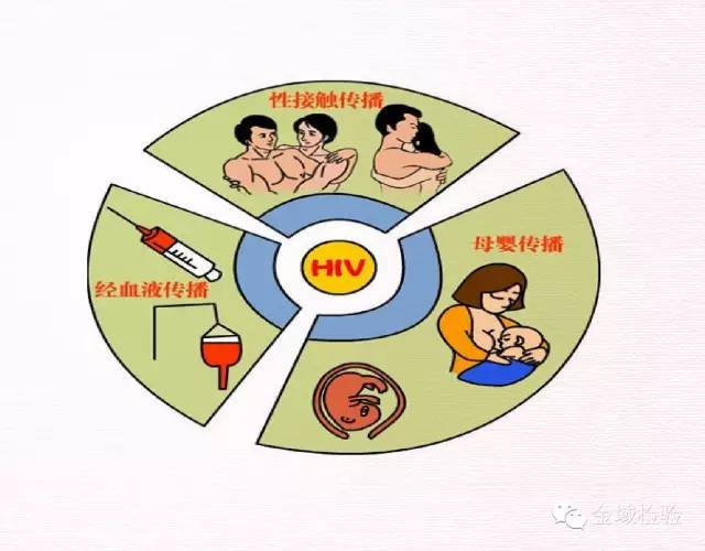 关“艾”从了解开始——艾滋病防治知识