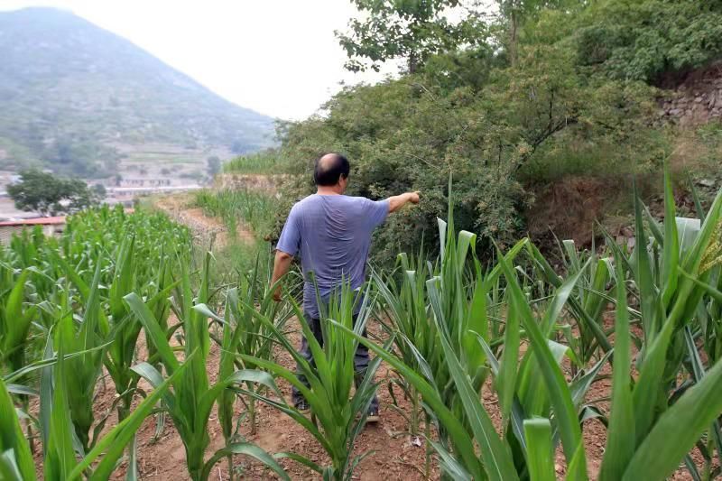 天蓬元帅别惹农夫怎么解锁,天蓬元帅下界被欺负