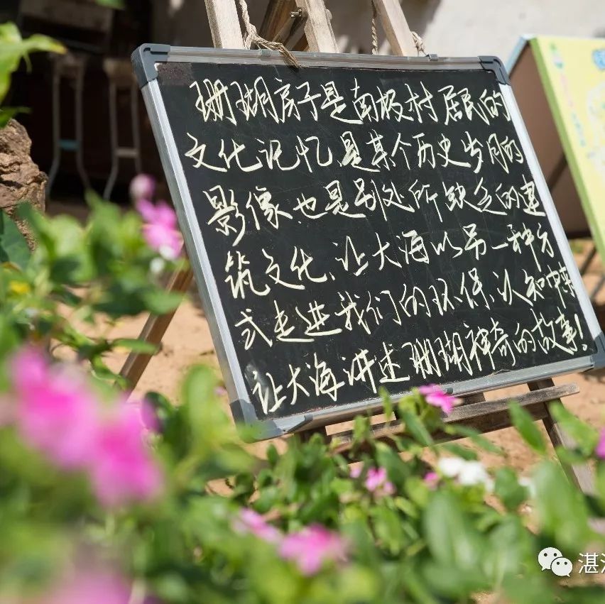 湛江有没有好景点,湛江有没有什么景点