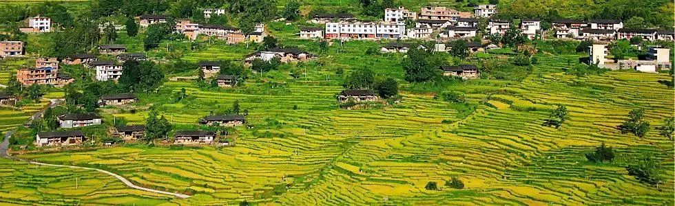 尤溪喜报,福建尤溪一中喜报