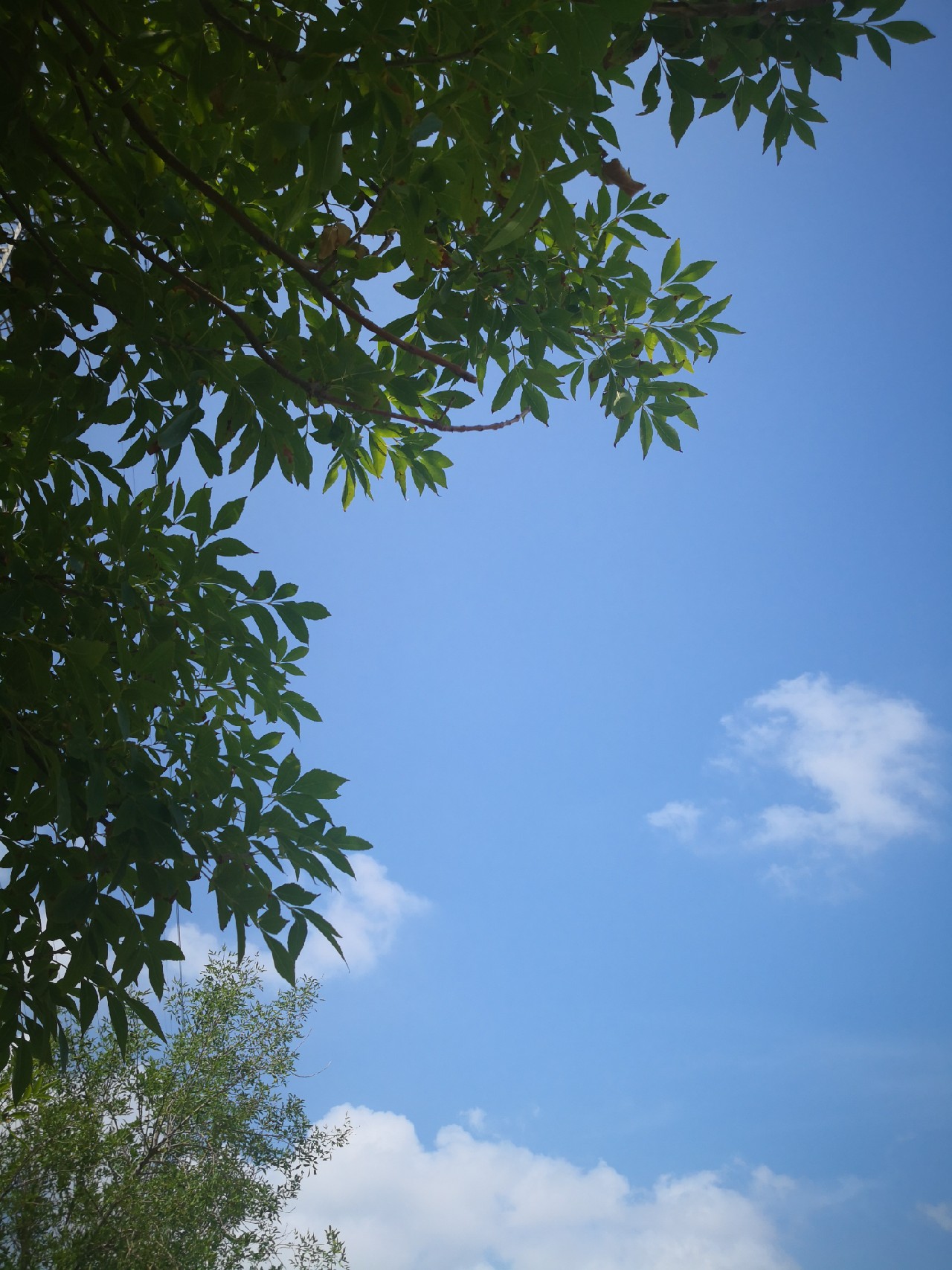 廉颇老矣尚能饭否下句,廉颇老矣尚能饭否下一句神回复