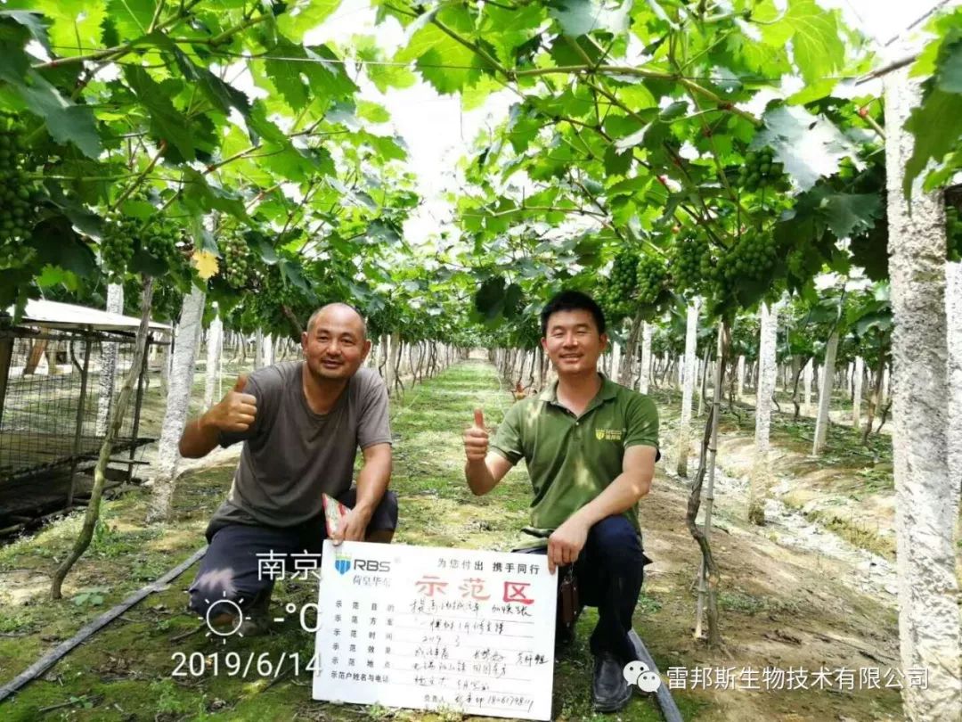 农资年入百万,农资挣钱