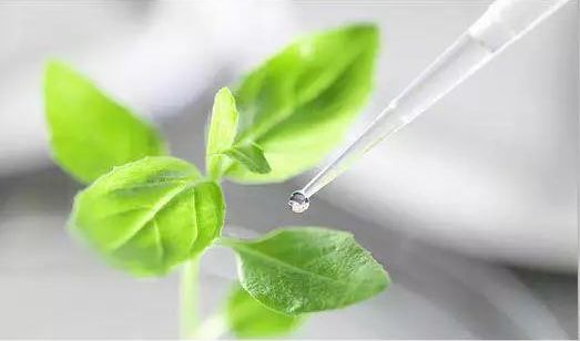 小月龄刷牙齿怎么刷得干净,刷一次牙就能让牙齿变白