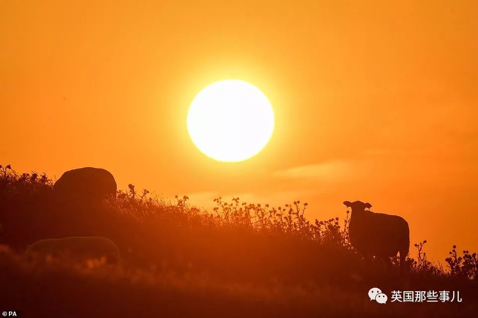 伦敦高温热浪解决,伦敦天气很热