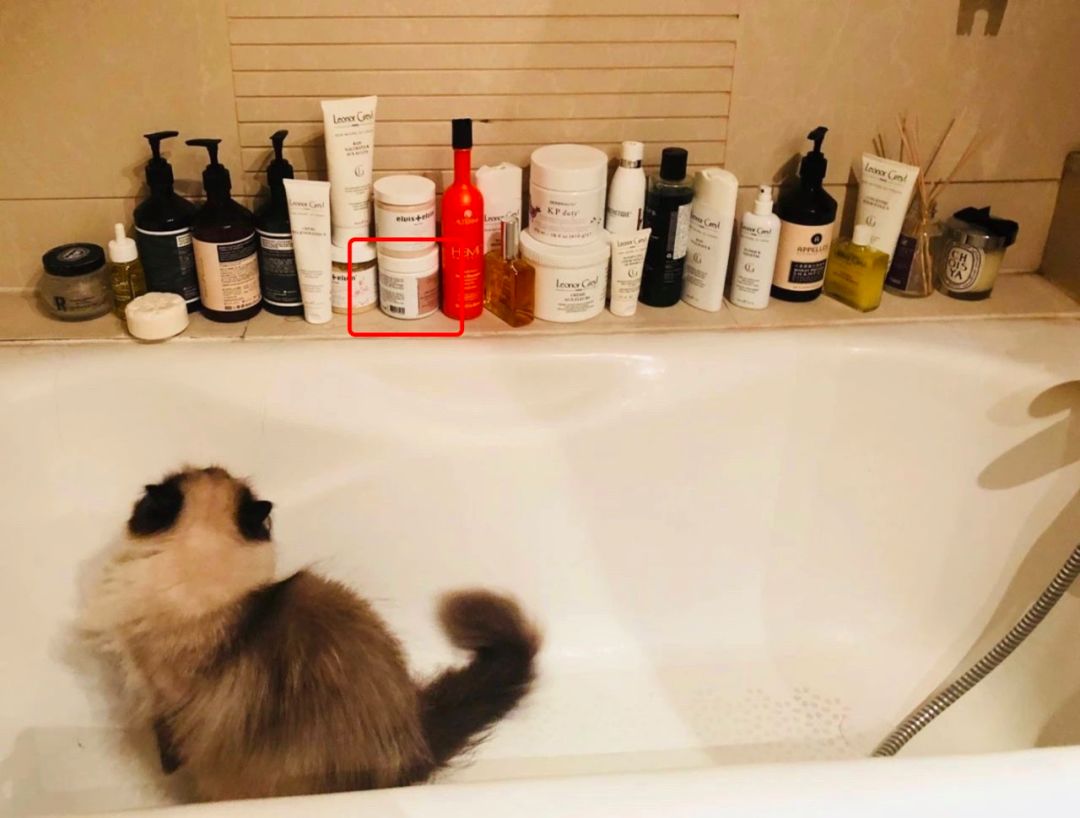 被虚假友情蒙蔽的“绿叶妹”，如今事业开挂反成“真公主”