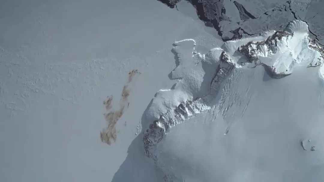 惊掉网友下巴的画面,豆瓣9.1分令人绝望