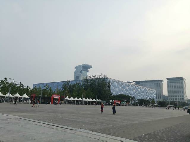 一家老小向前冲300集连续播放,一家老小向前冲共800集