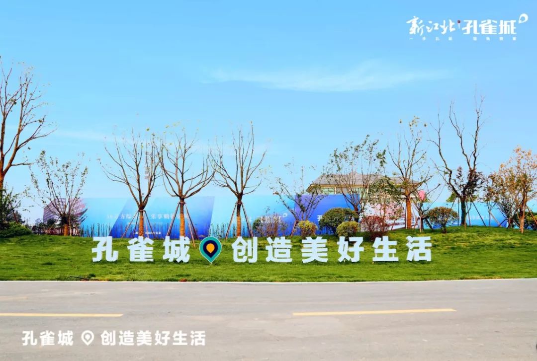 被戛纳提名的这个神秘大佬，居然又来玩跨界了