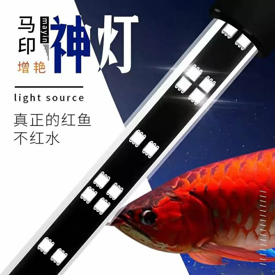 周末狂欢6.3礼包多少元宝,周末狂欢购好物播不停