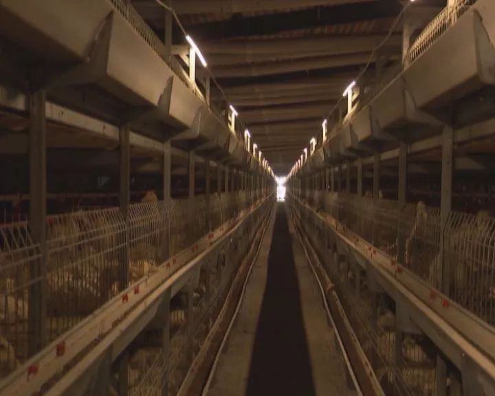 澶╁搴欓晣涓夎仈,鍏婚腑浜т笟鍙戝睍