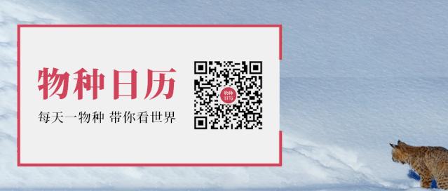 这些超受欢迎的公众号你关注了吗,好评率超高的7个公众号值得关注