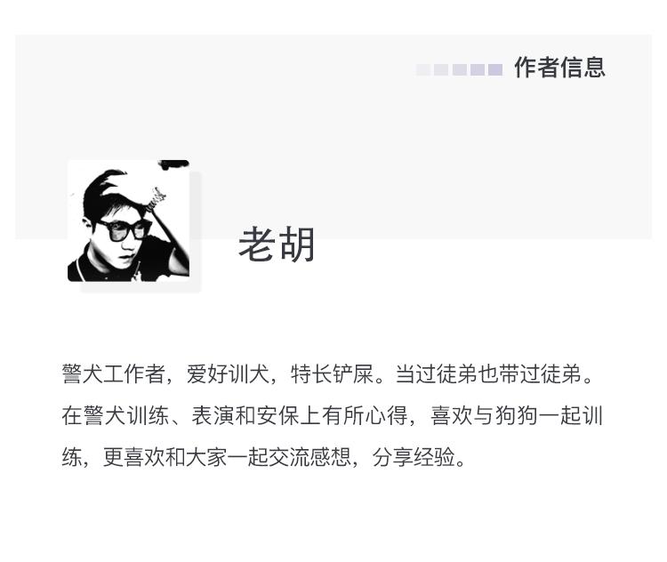 狗狗不定点排便怎么办,狗狗定点排便剂怎么用