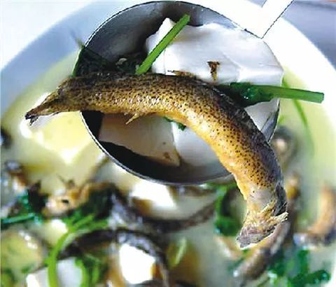 龙虾养殖技术一年赚多少钱,龙虾养殖一亩一年有多少利润