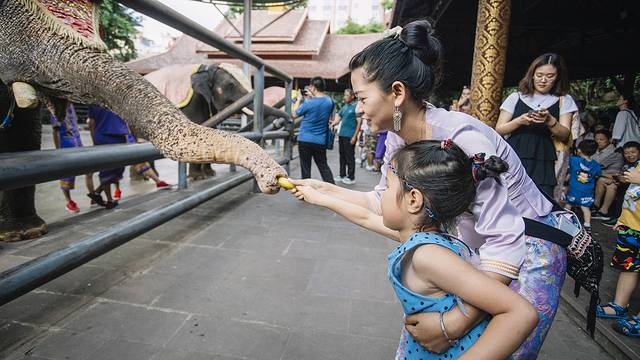 最后的净土,最后的净土格陵兰岛