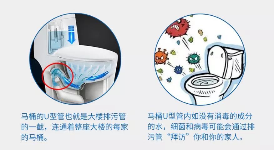 马桶特价秒杀200-300元,马桶冲水喷射大量细菌是真的吗