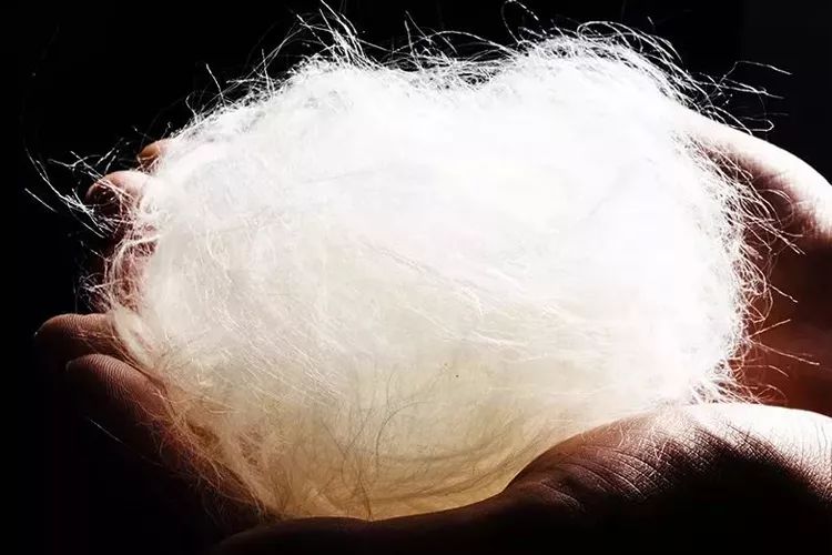 买送|用大豆做的毛巾，速干、柔软、防霉、防臭