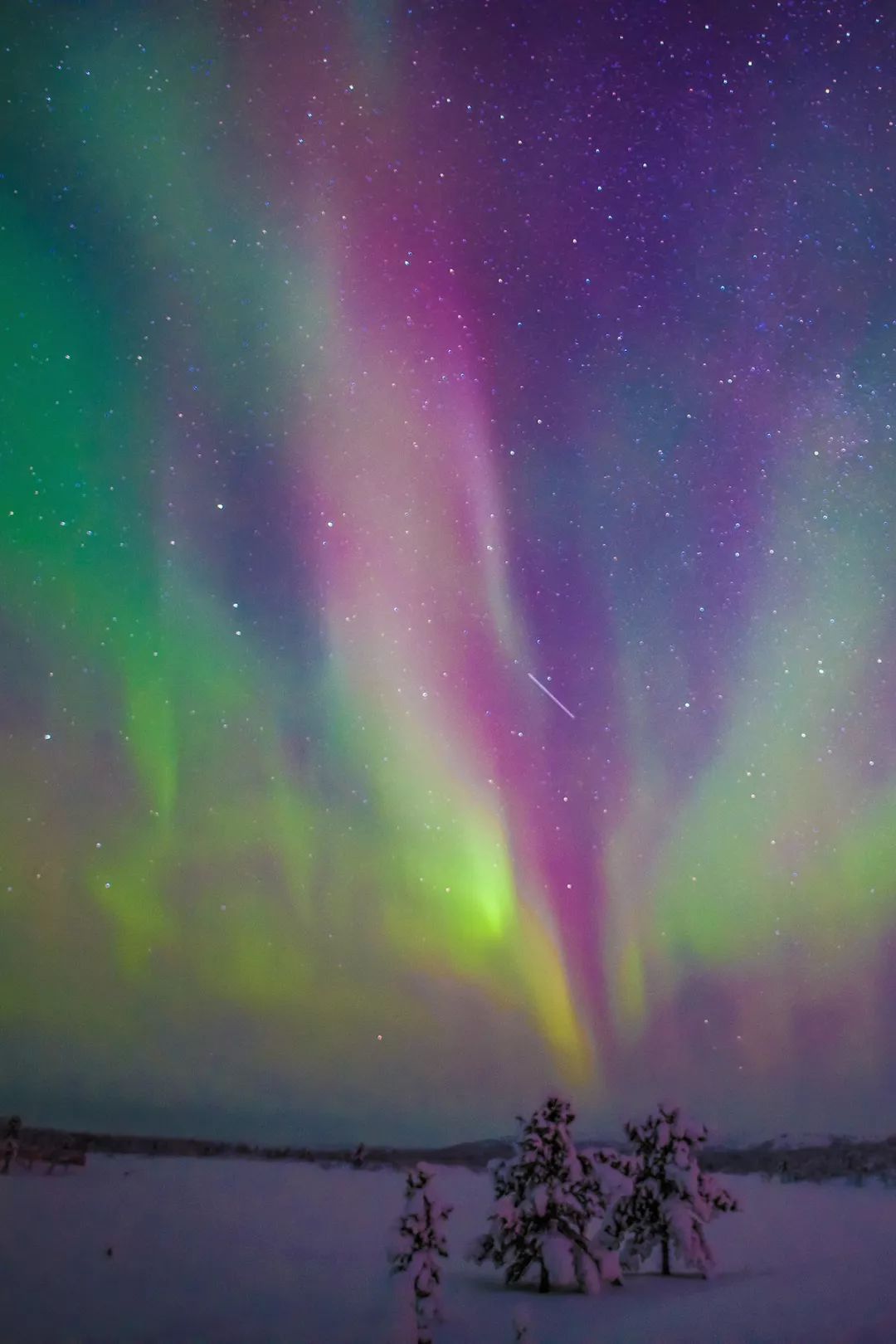 为什么我们迷恋恐龙,为什么我们痴迷篮球