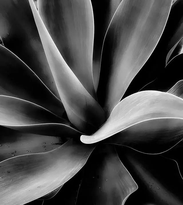 手机摄影大师级作品,手机拍出的大片风景摄影作品