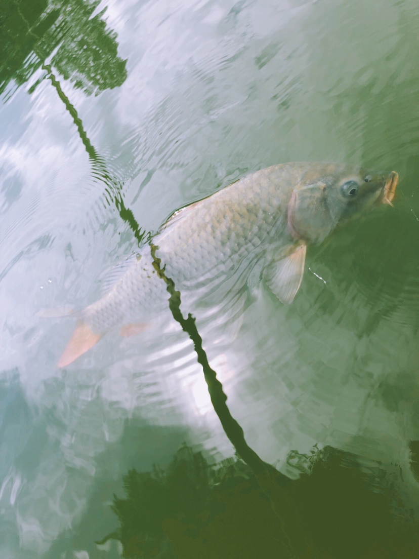 钓鱼装备全套小型鱼竿推荐,私人订制鱼竿路亚