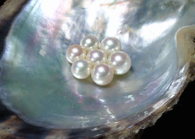 泡全球仅一家的珍珠温泉,上小众景美的雪场滑雪,99%游客都不知道的日本玩法