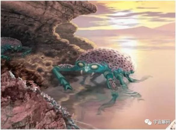 没有人类地球会怎么样,没有人类的地球纪录片