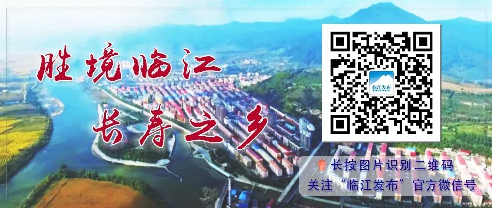 娃娃足球,娃娃足球展示