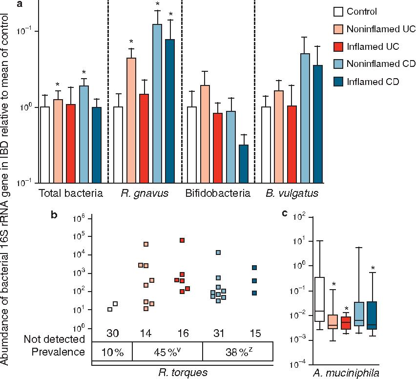 akk益生菌有什么功效,万能益生菌效果怎么样