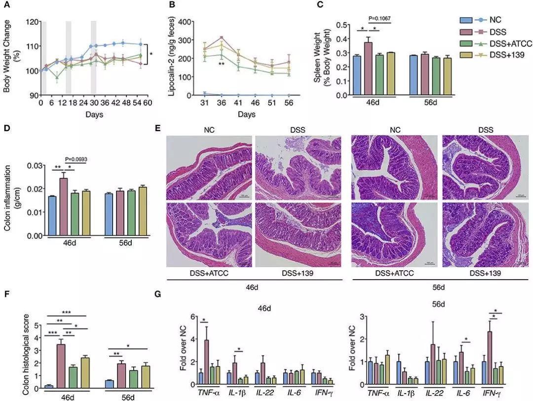 akk益生菌,益生菌akk瘦子菌推荐