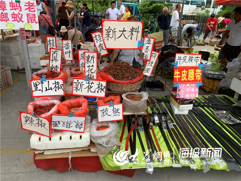 再见红利的图片,红利市场图片