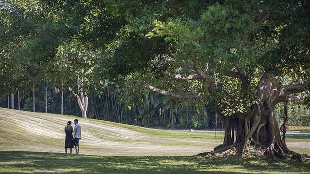 近七天游三亚,海南轻松游