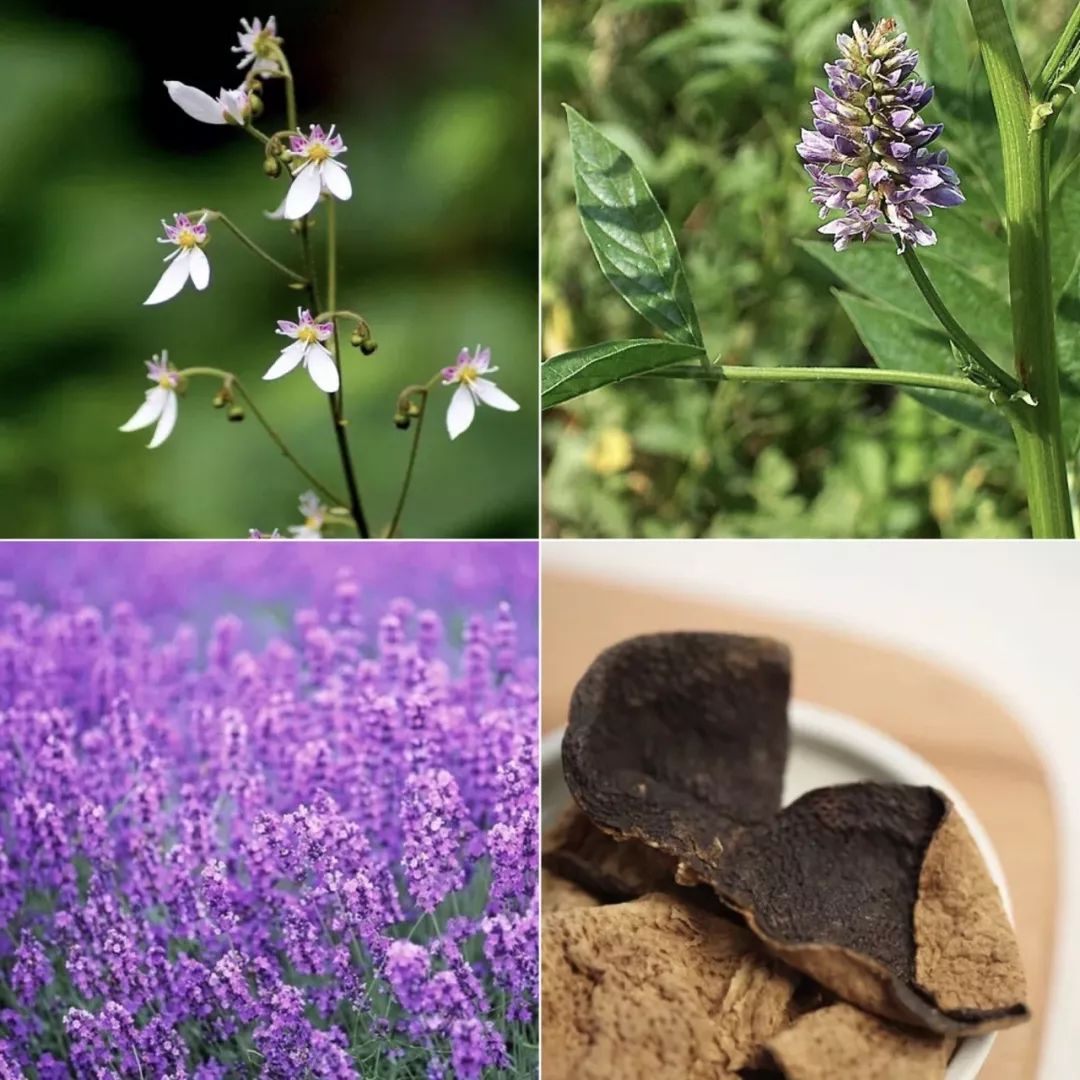 日本纯原神仙水,日本神仙水和韩国神仙水