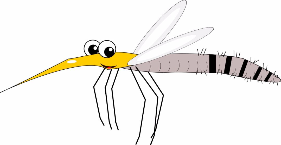 蚊子叮咬会传染什么疾病,被多少蚊子叮咬才会被传染上疾病