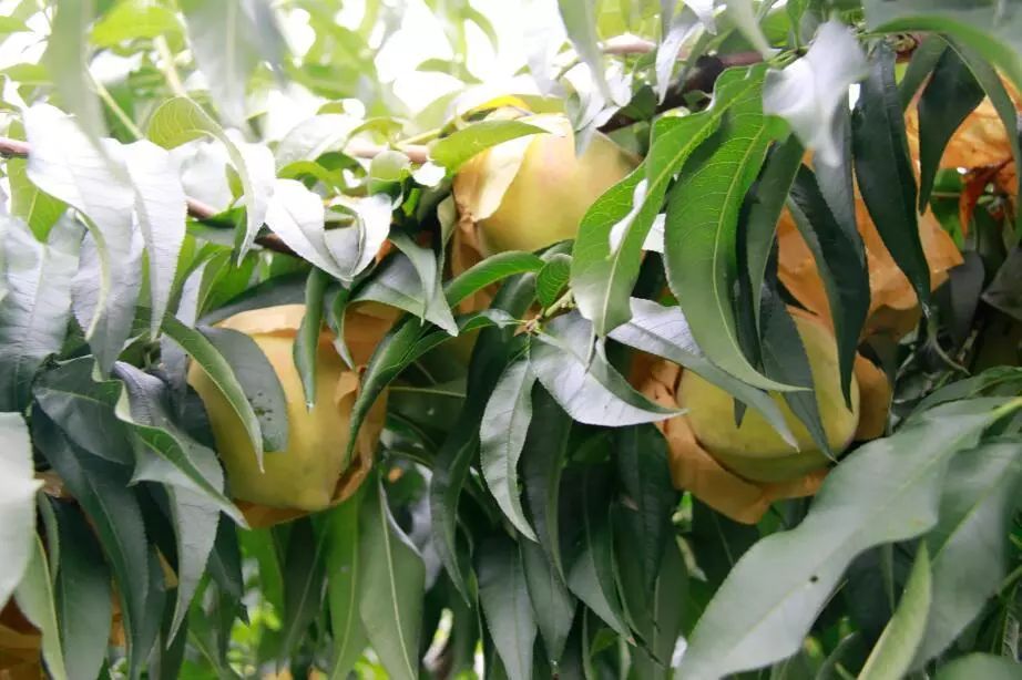 购购购！今天这里超热闹