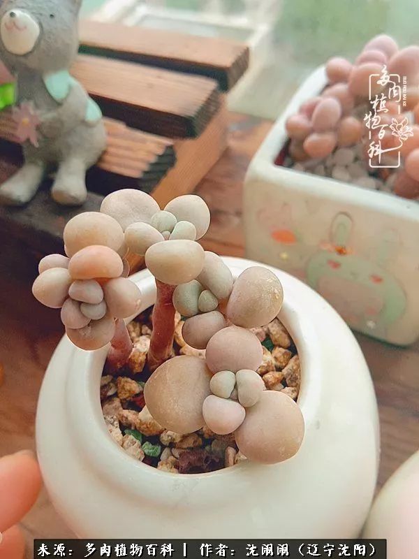 心若向阳无惧晴天,心若向阳不畏风雨