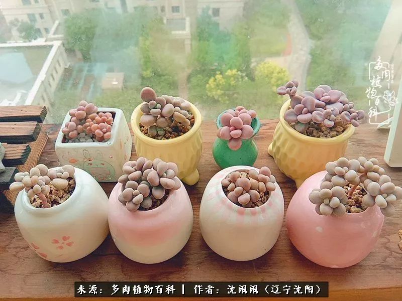 心若向阳无惧晴天,心若向阳不畏风雨