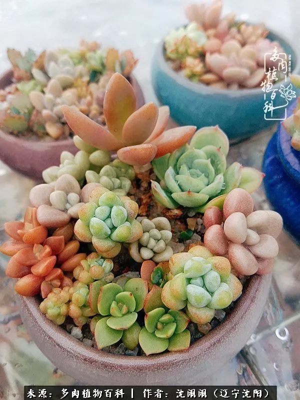 心若向阳无惧晴天,心若向阳不畏风雨