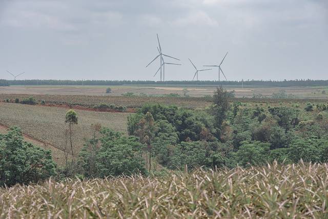 大陆之南,粤西越美,被旅行者忽略的处女地——雷州半岛