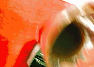 昔日女神负面消息缠身险过气，转手做生意却搞得风生水起