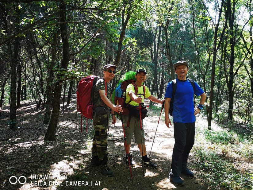 雪峰冰川雪莲草甸十分的激动八分憾——2019年7月环博格达纪实