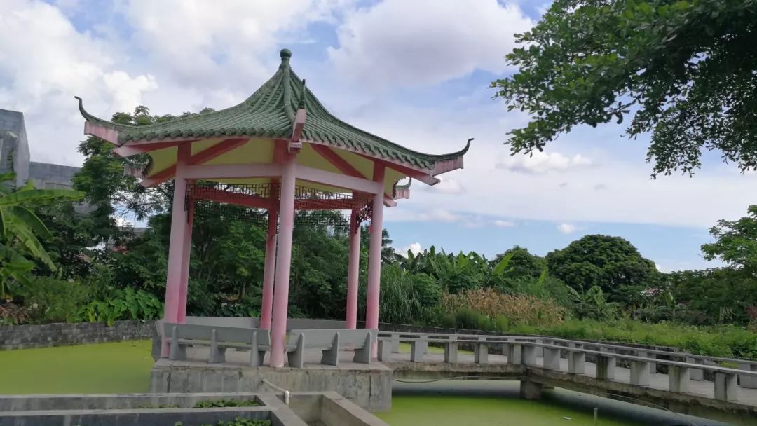 壮丽70年城乡发展,壮丽70年广西篇