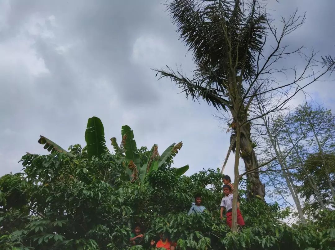 印度尼西亚属于哪个洲,泰国新加坡印度尼西亚