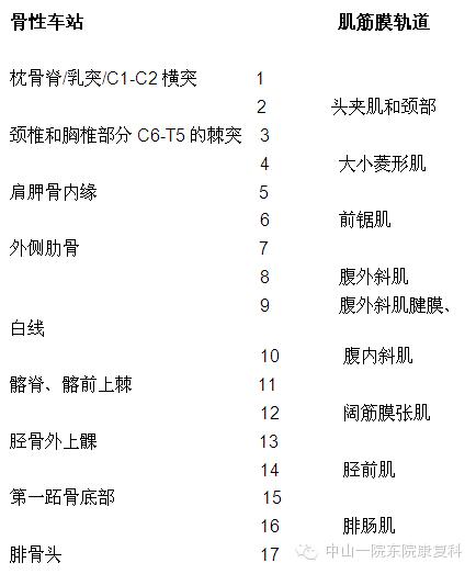 康复治疗技术人体解剖学,12条筋膜链解析及治疗手法