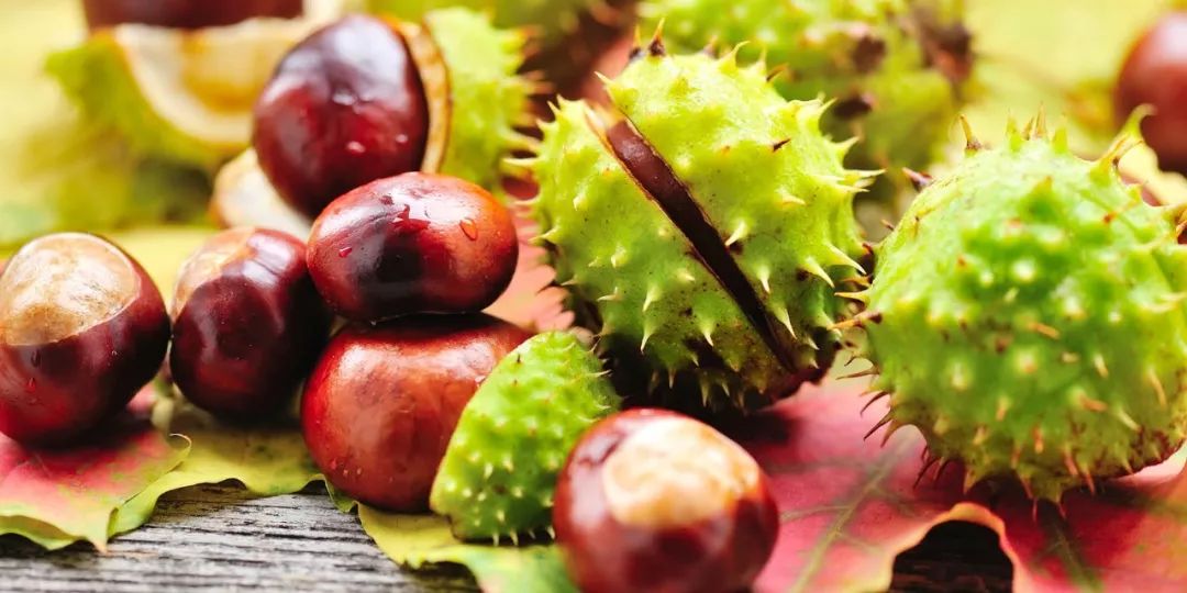 腰酸背痛、肩颈酸乏、肌肉疲劳？德国人有个家喻户晓的妙招