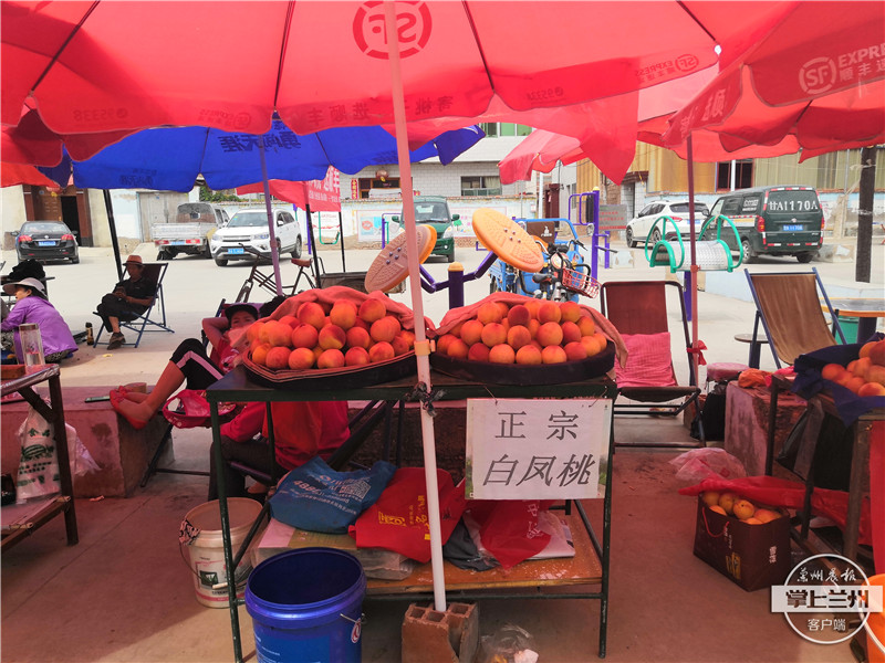 白凤桃安宁区,正宗兰州安宁白凤桃购买