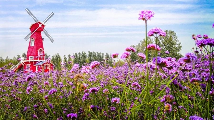 漫游冀（66）|藏不住了，河北高颜值表白圣地曝光！听说成功率很高哦~